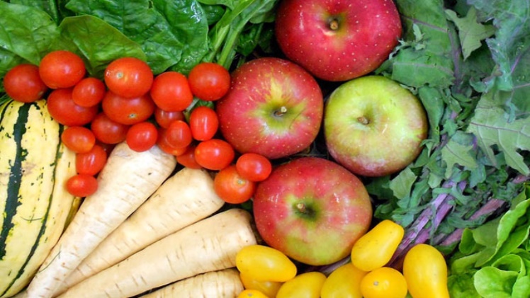 Everything You Need To Know About Shipping Fresh Produce