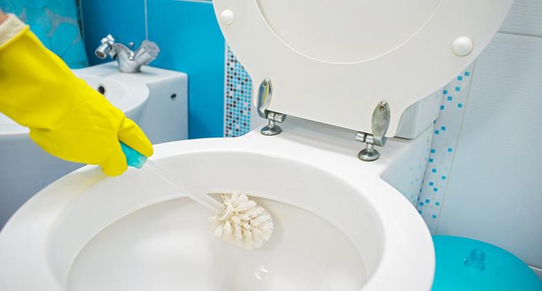 Harmonizing Hygiene: A Look At Professionals Keeping Our Restrooms Pristine